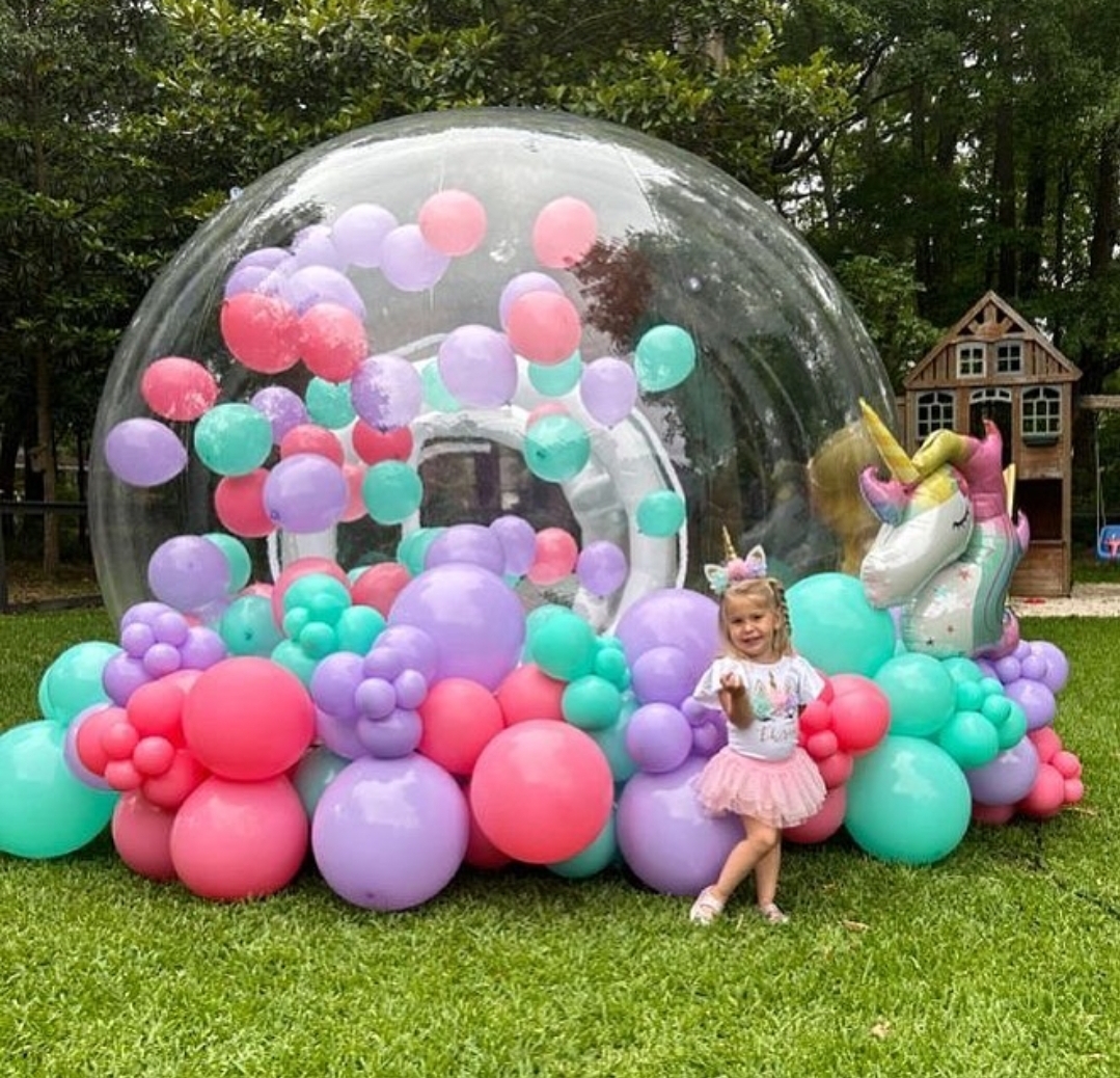  Bubble Dome House