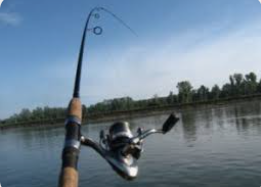 Rod & Reel
