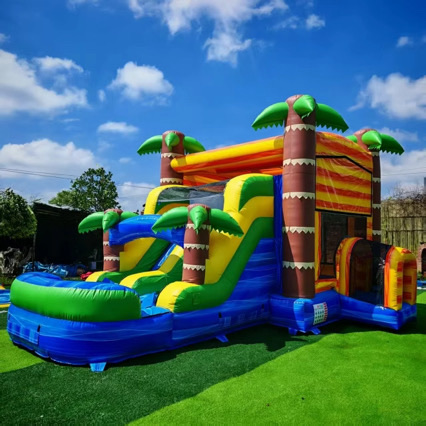 Rain Forest Combo/Dual Slide