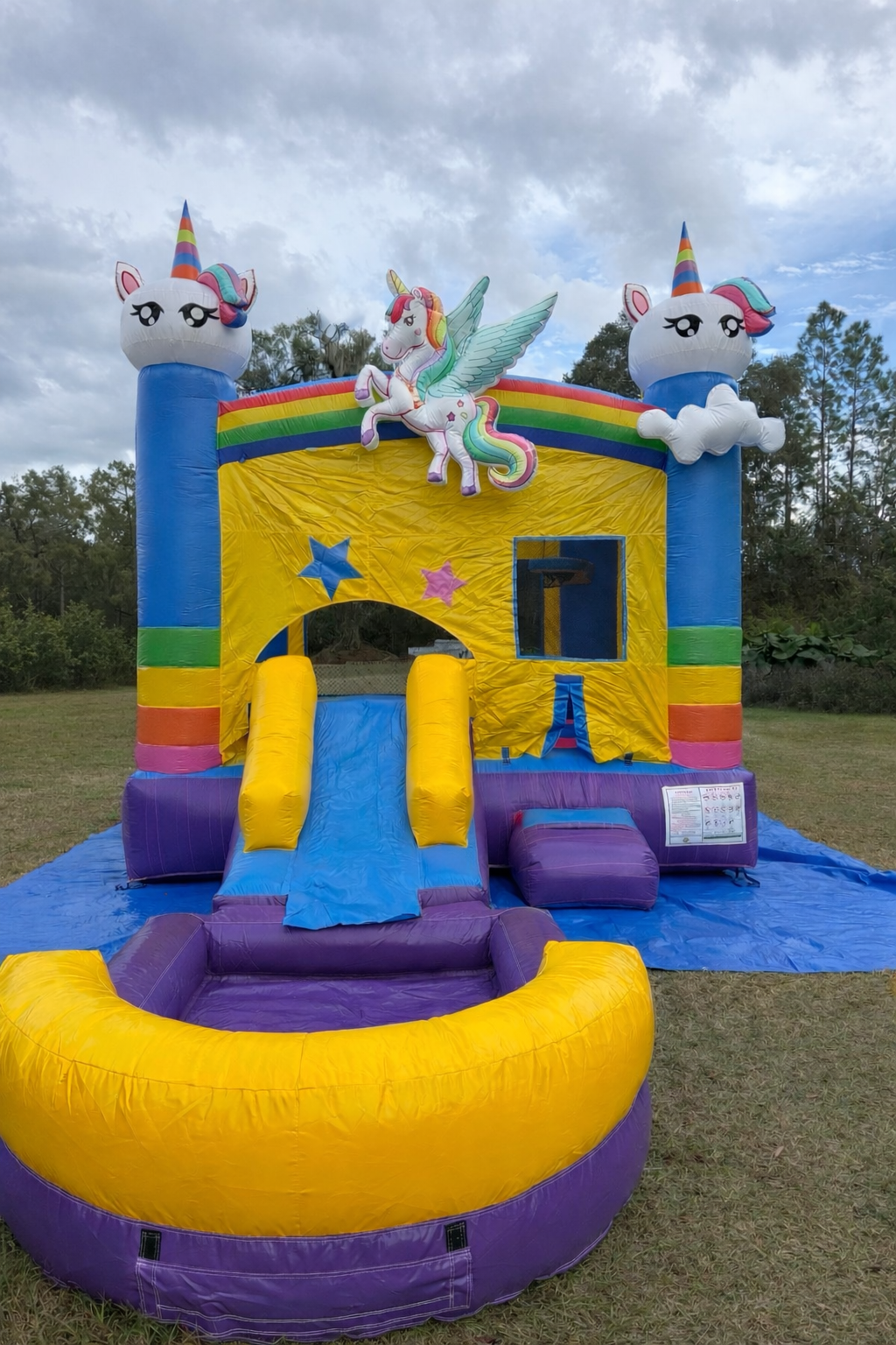 Unicorn Marble Wet/Dry Combo