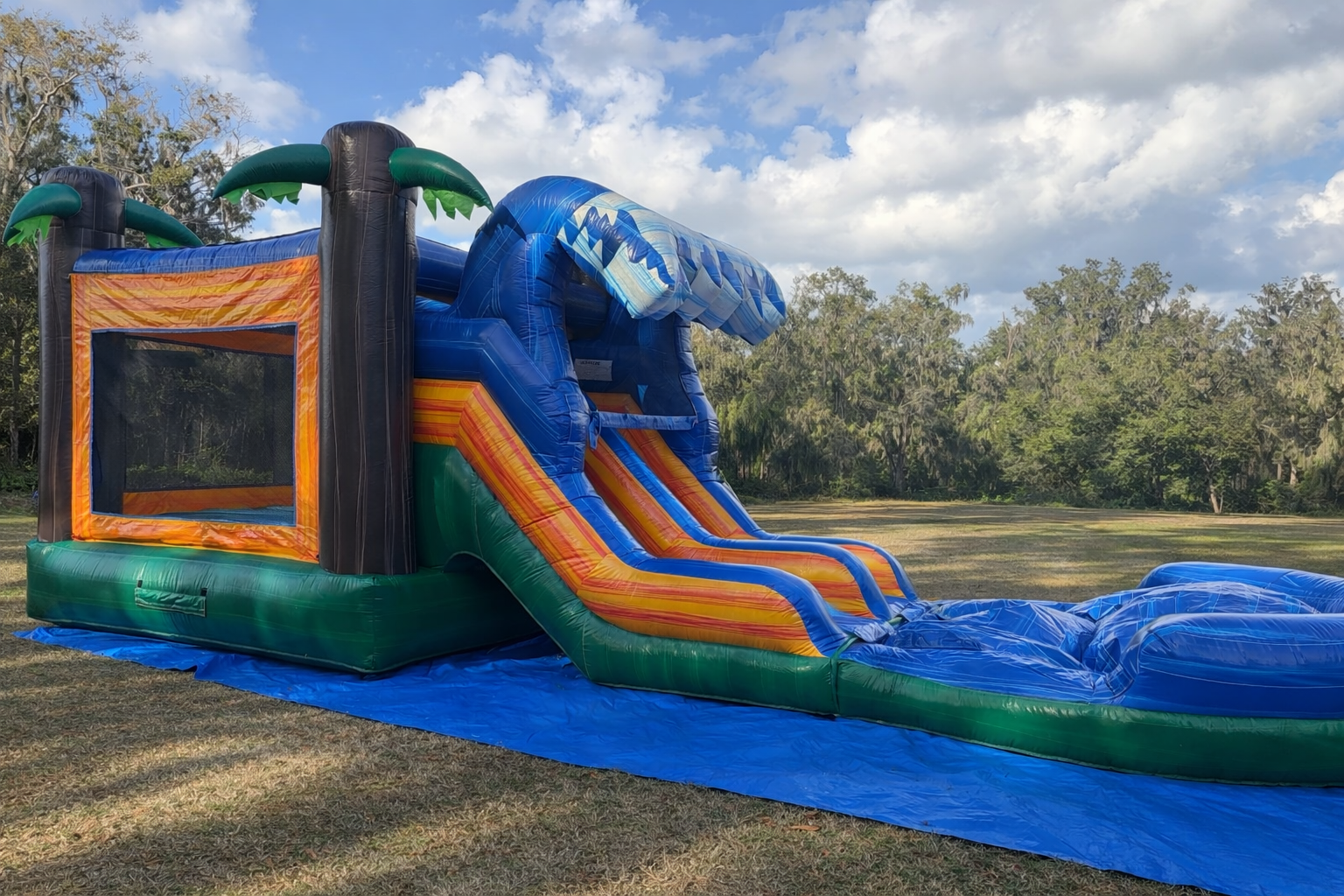 Tropical Wave Dual Lane Combo