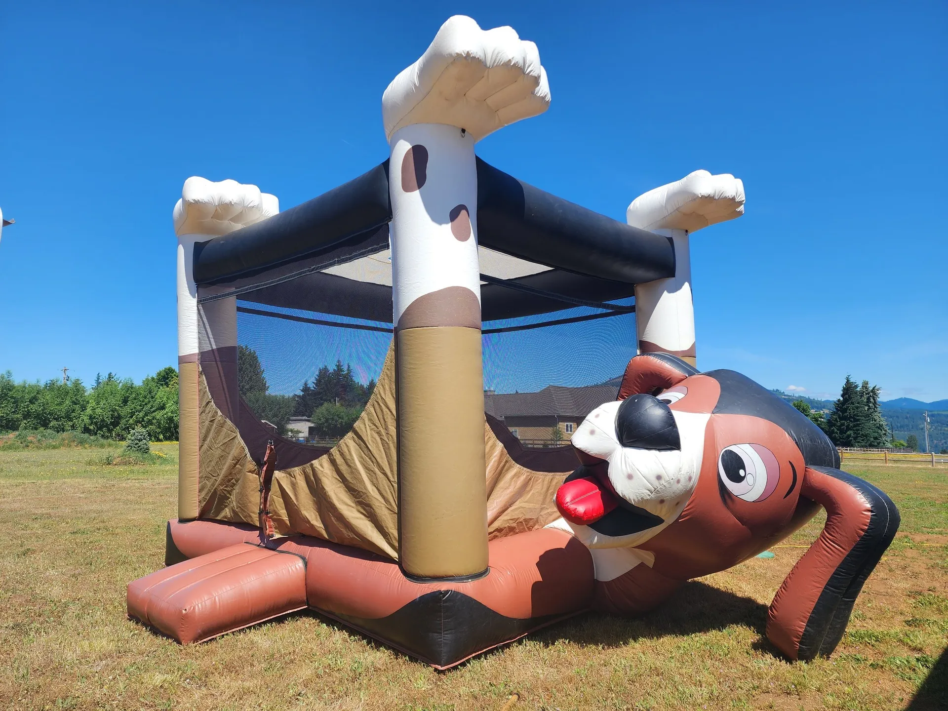 Dog Bounce House