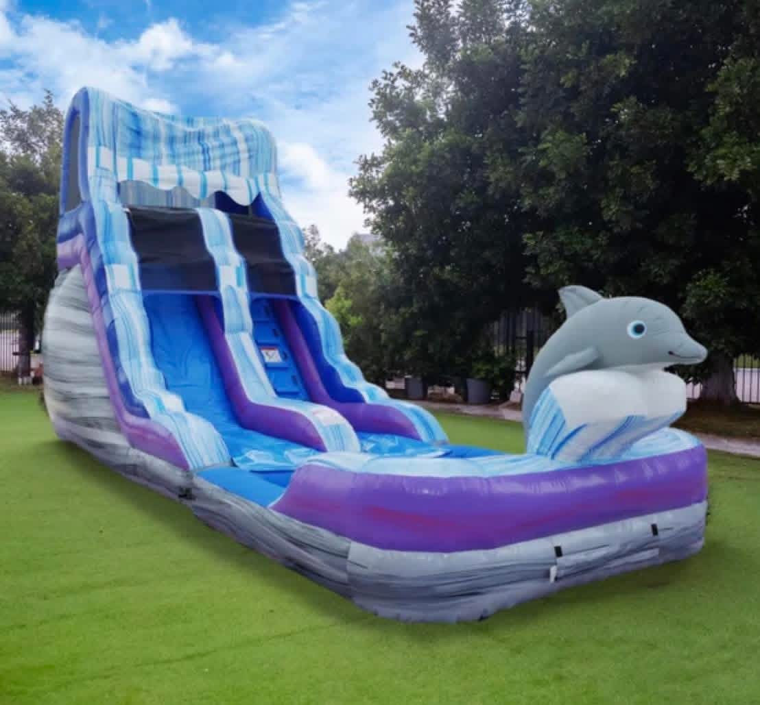 16 ft Dolphin wave waterslide