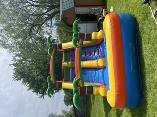 Palm Trees Water Slide