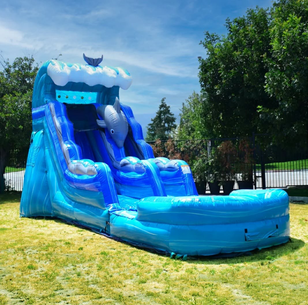 Dolphin 15 Ft Giant Climber Water Slide with Detachable Pool