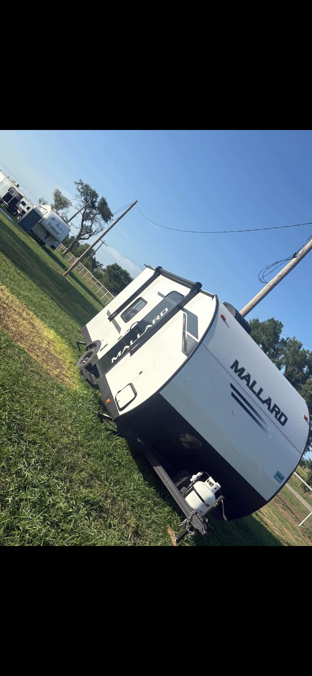 2024 Mallard