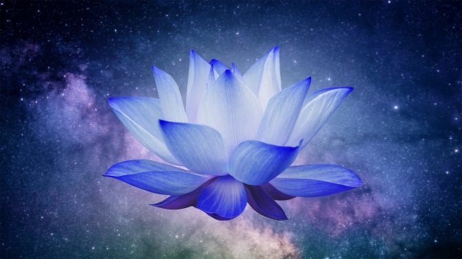 Blue Lotus flower with galaxy behind.