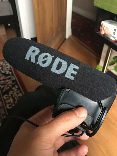Microphone Reed - image 1