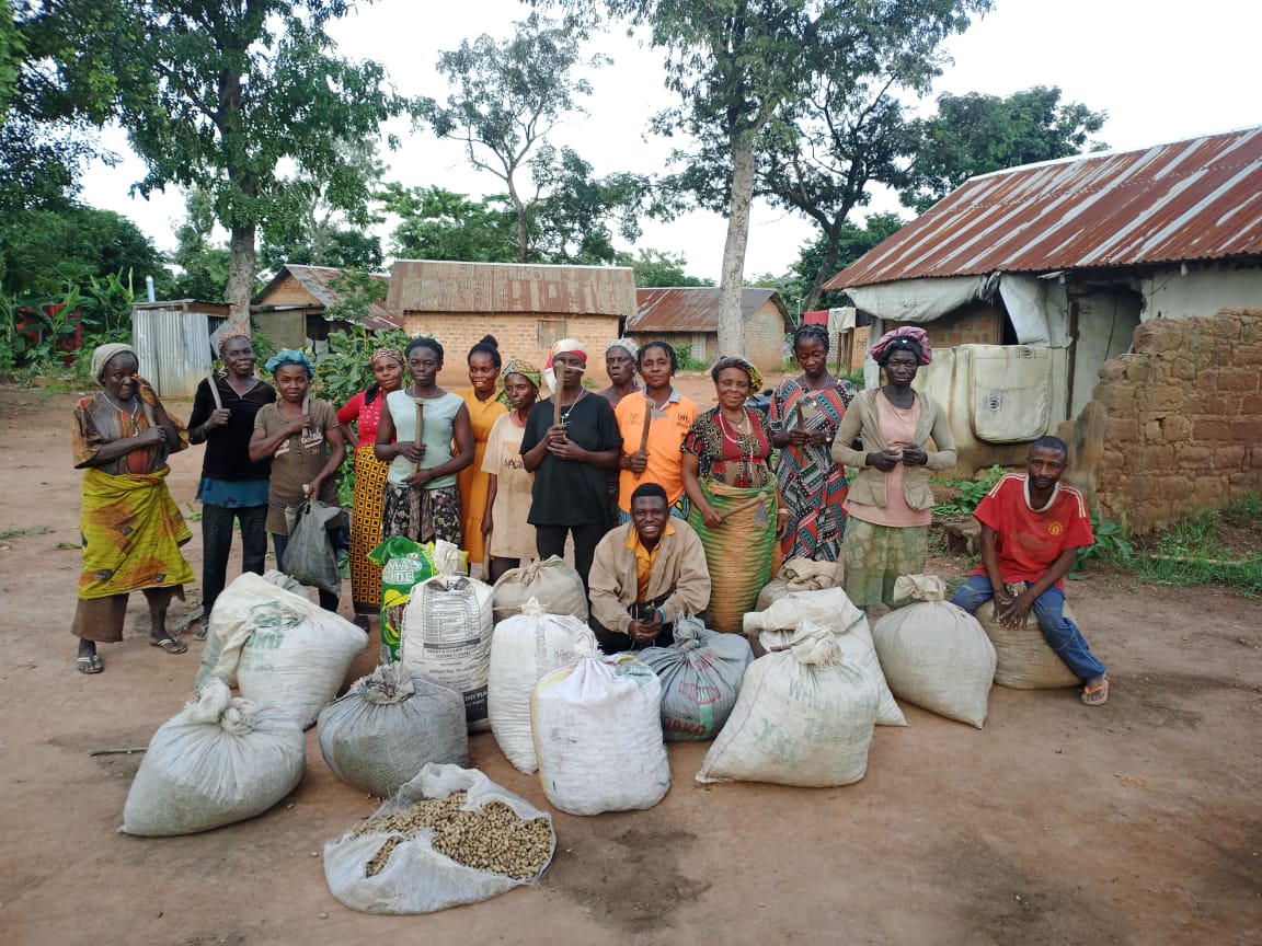 Groundnut and Maize Cultivation and Distribution Project