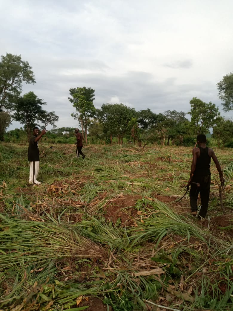 Preparing the Ground for a Better Harvest