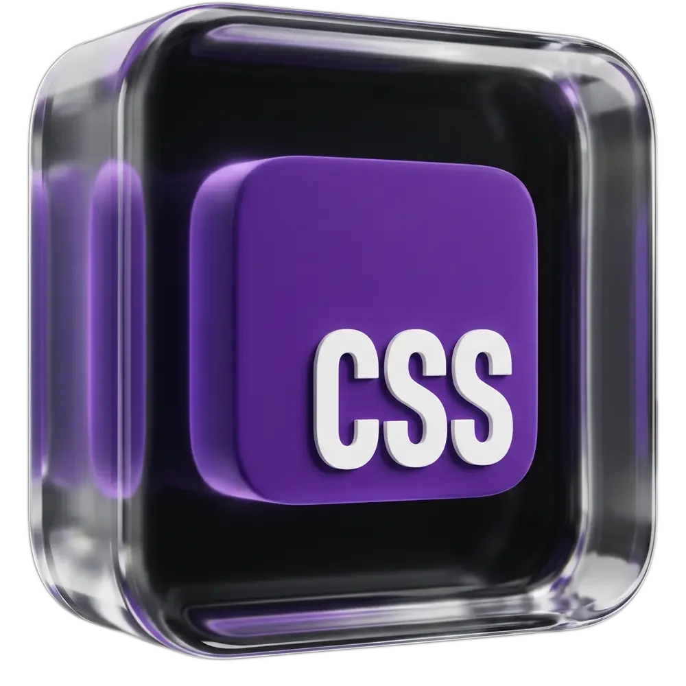 CSS