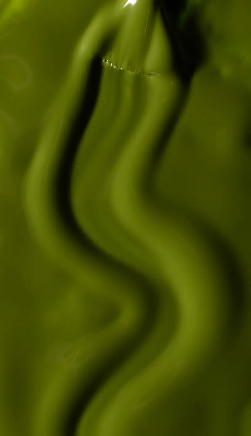 Forest Green 7 #71 Imagen 1