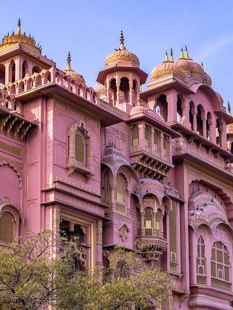 Malviya Nagar street food area in Jaipur, explored on Thela Khojo