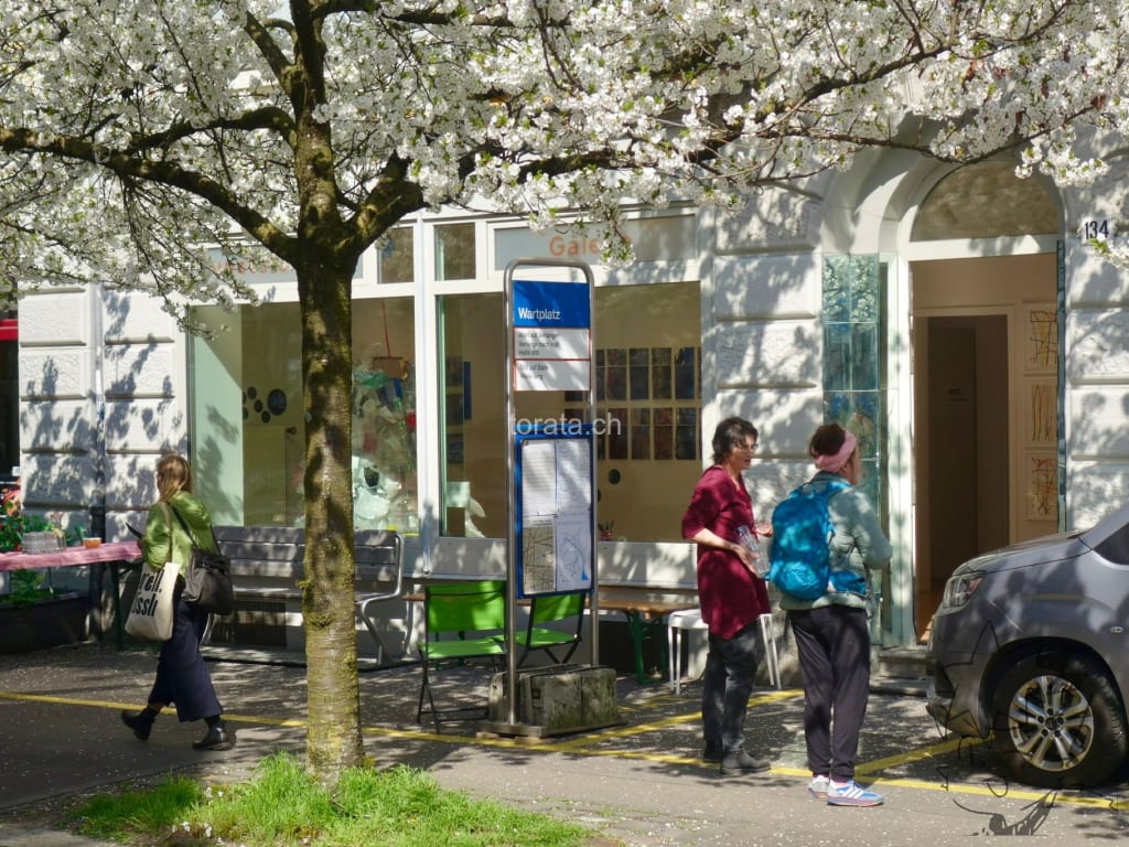 Fake tramstop under some sakura