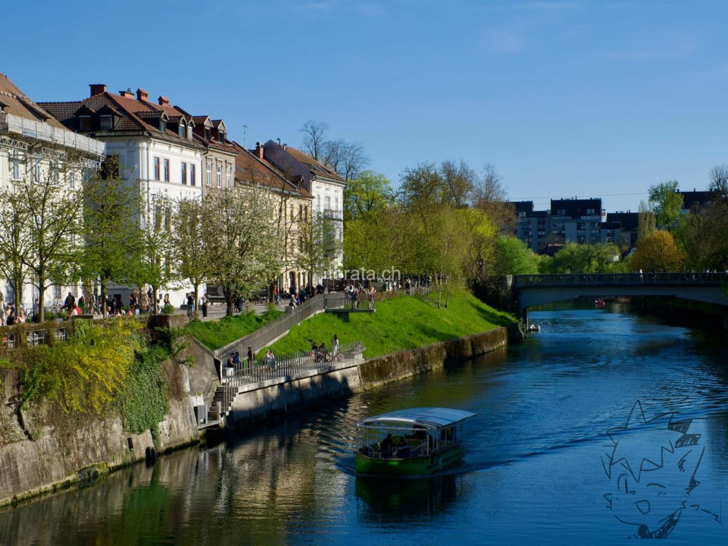 River in Ljubljana
