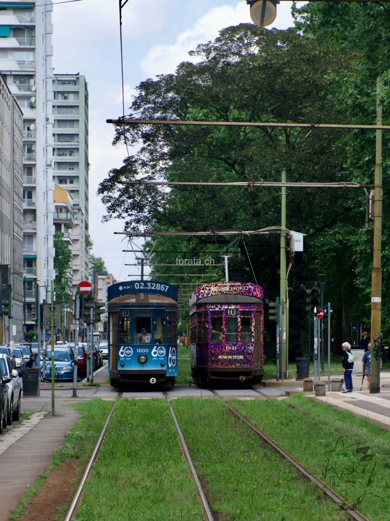 Tram in Milano riding over greenery