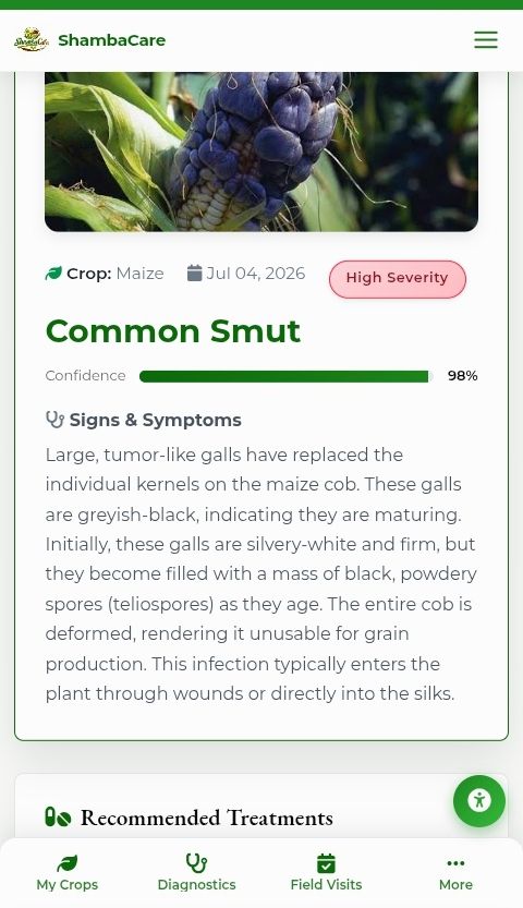 Spotting Common Smut