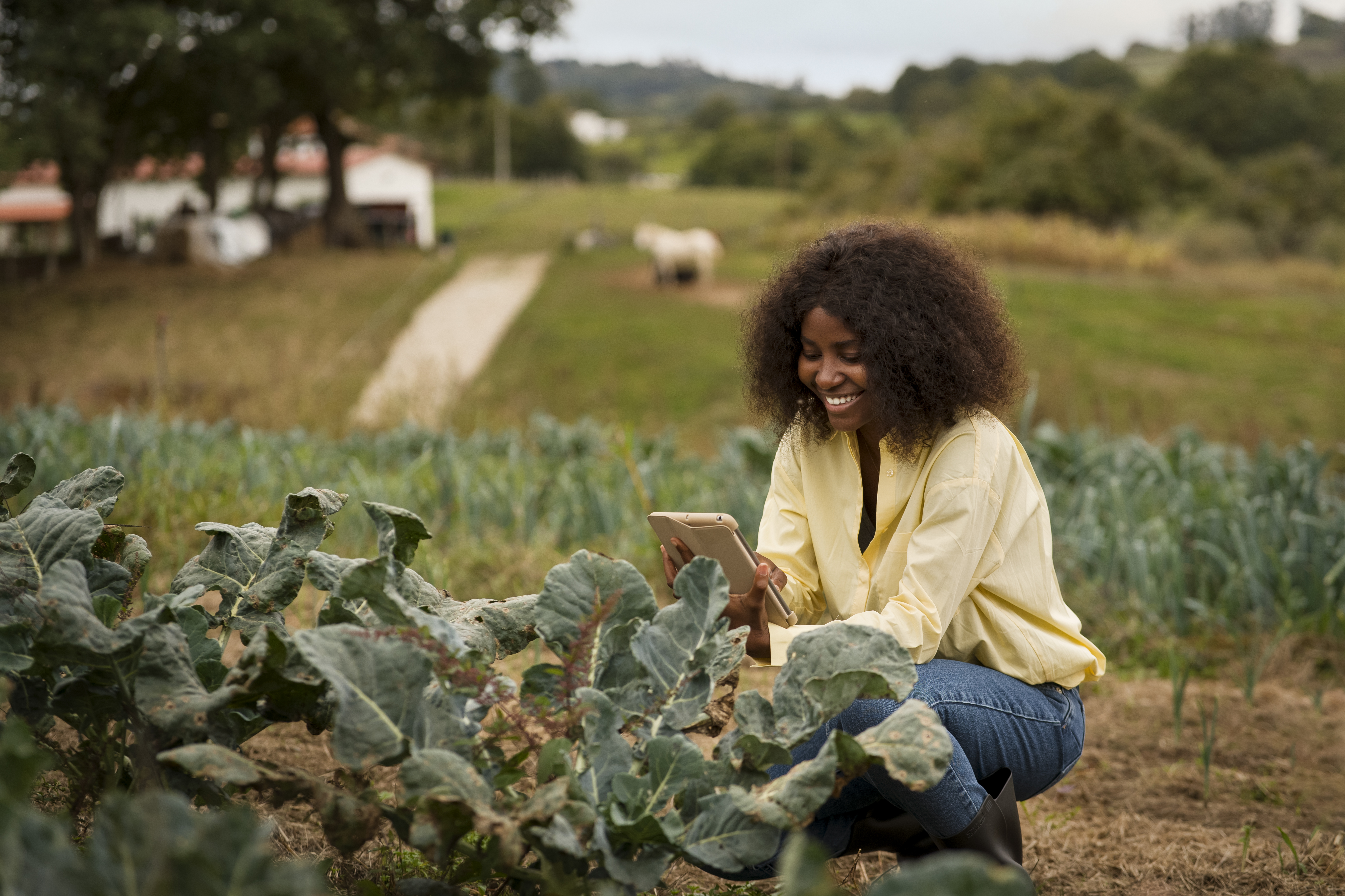 Crop Disease Detection