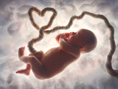 Atlanta Best Award Winning Newborn Womb Umbilical Cord Heart Milestone Month Months Girl Baby Portrait Studio Photography Photographer Twin Rivers 01 Pqte6d