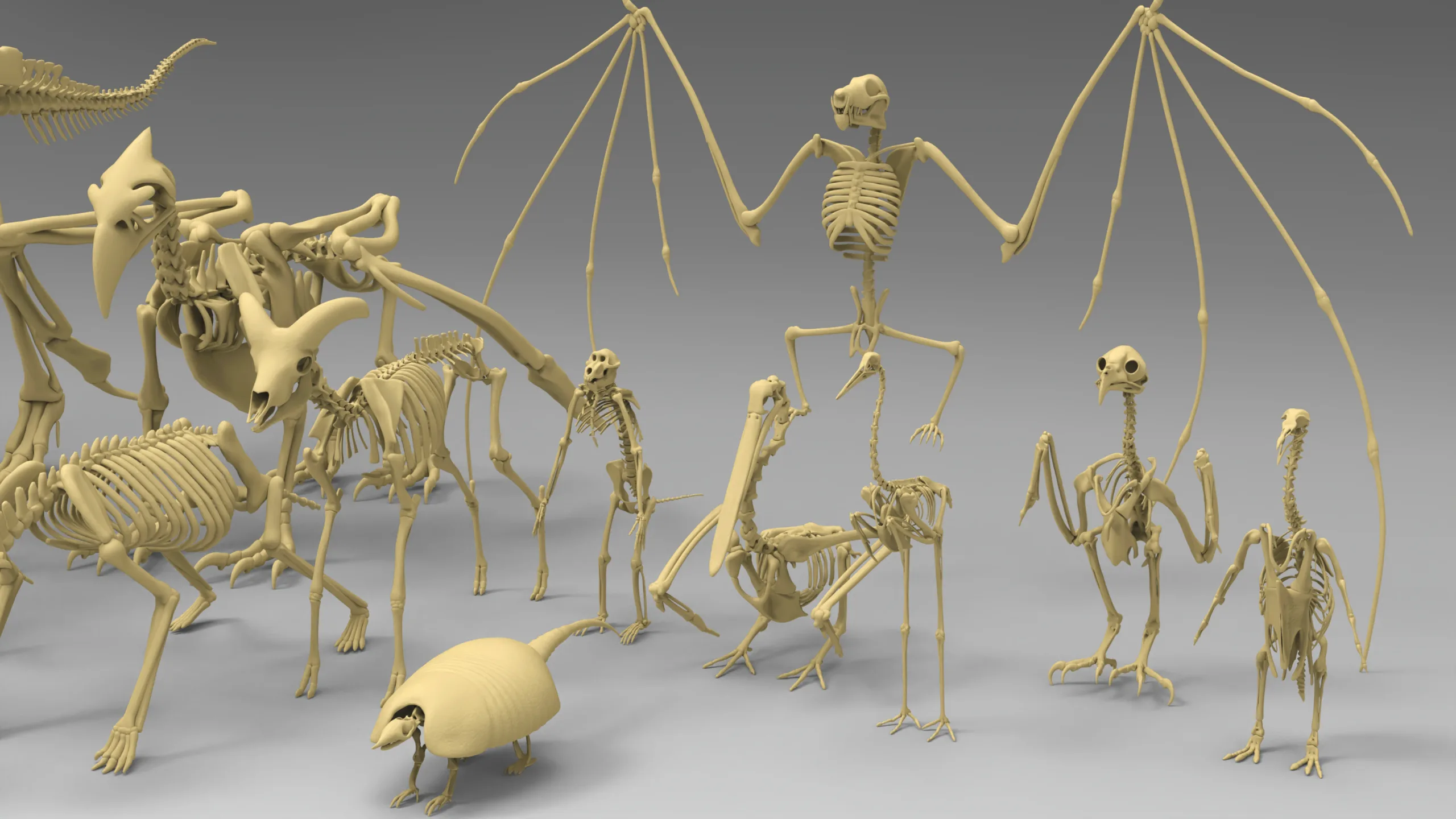 25 basemesh skeleton collection