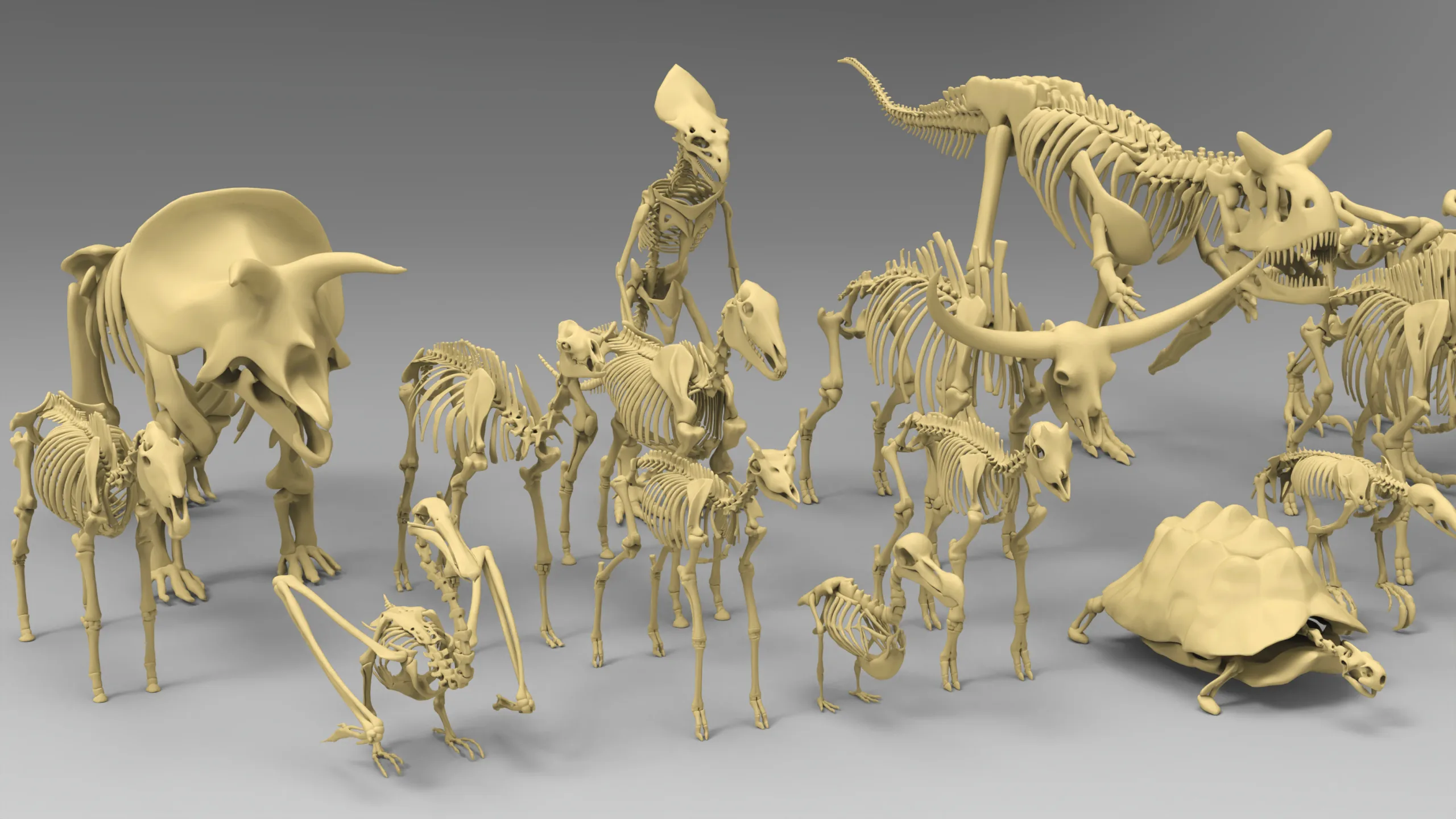 25 basemesh skeleton collection