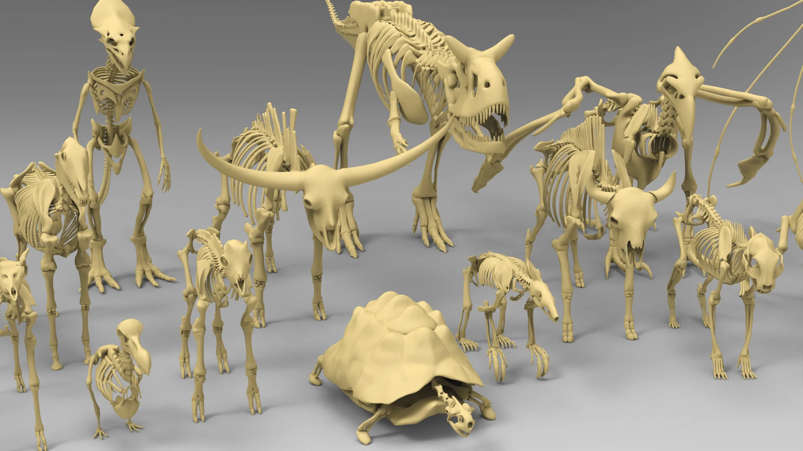 25 basemesh skeleton collection