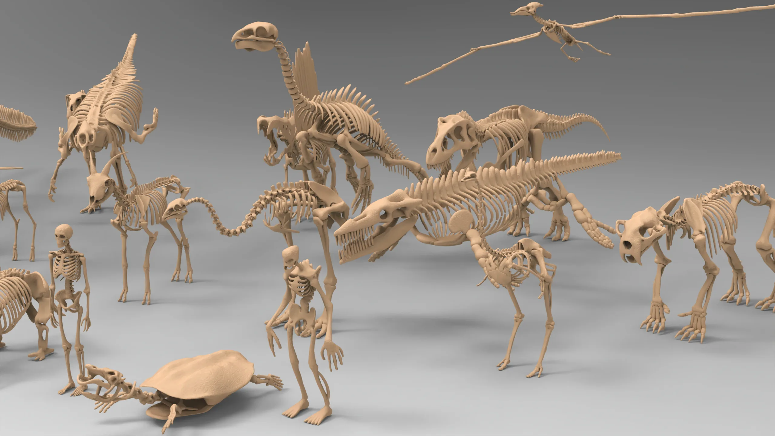 25 basemesh skeleton collection 2