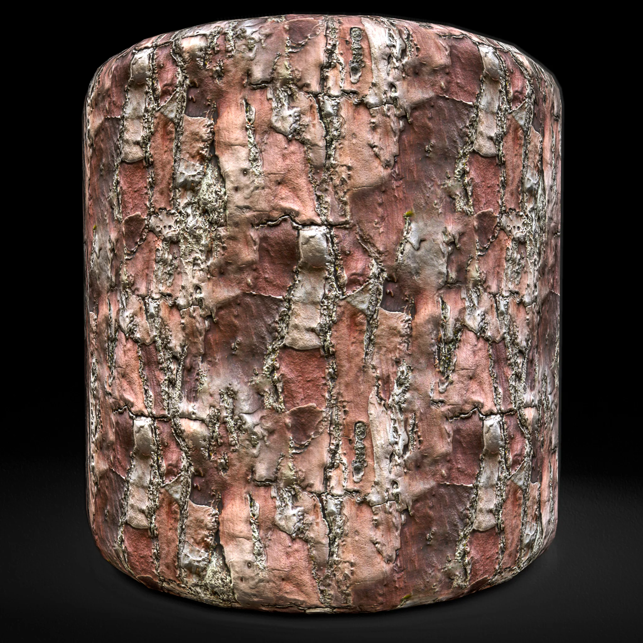 Wood Bark Texture 4K