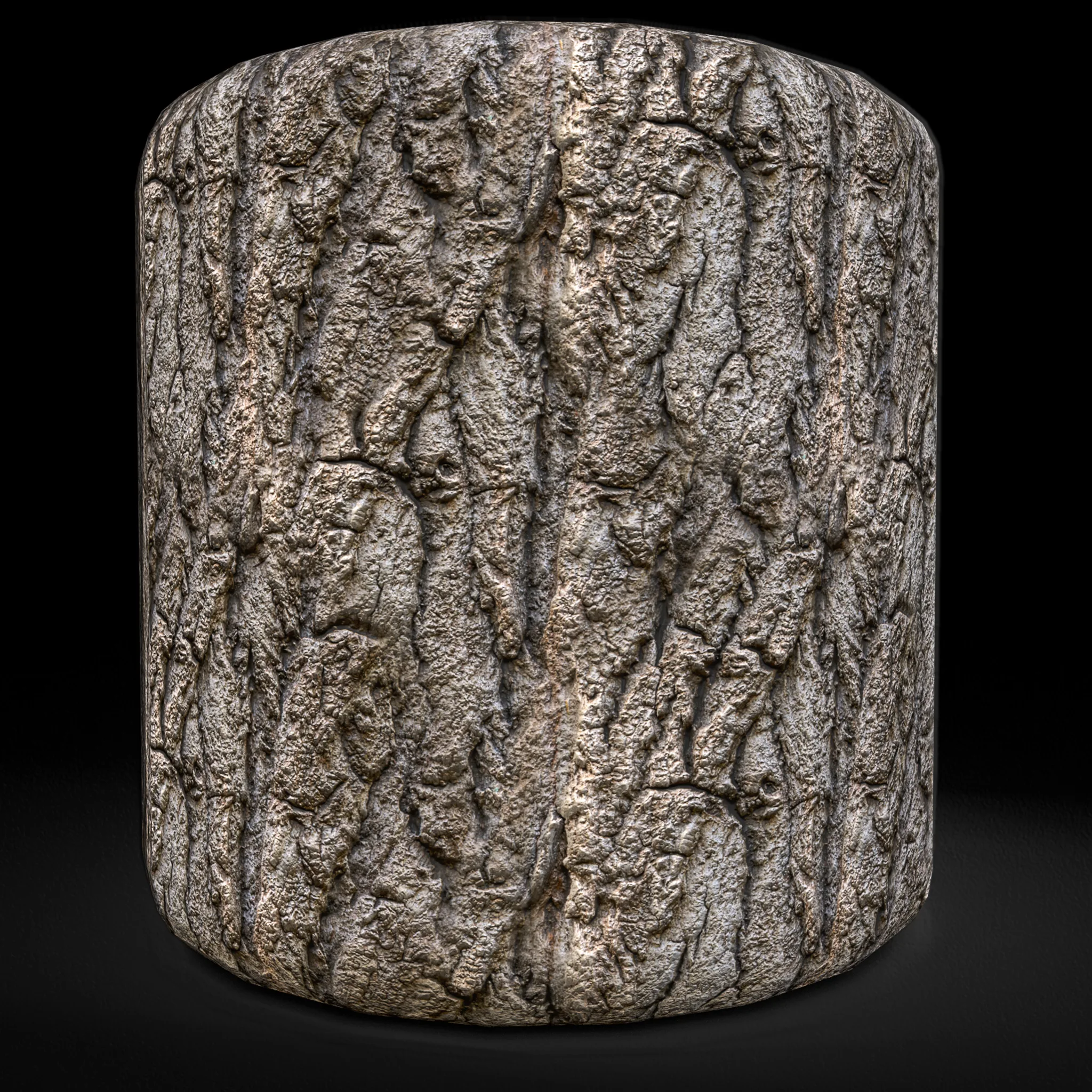 Wood Bark Texture 4K