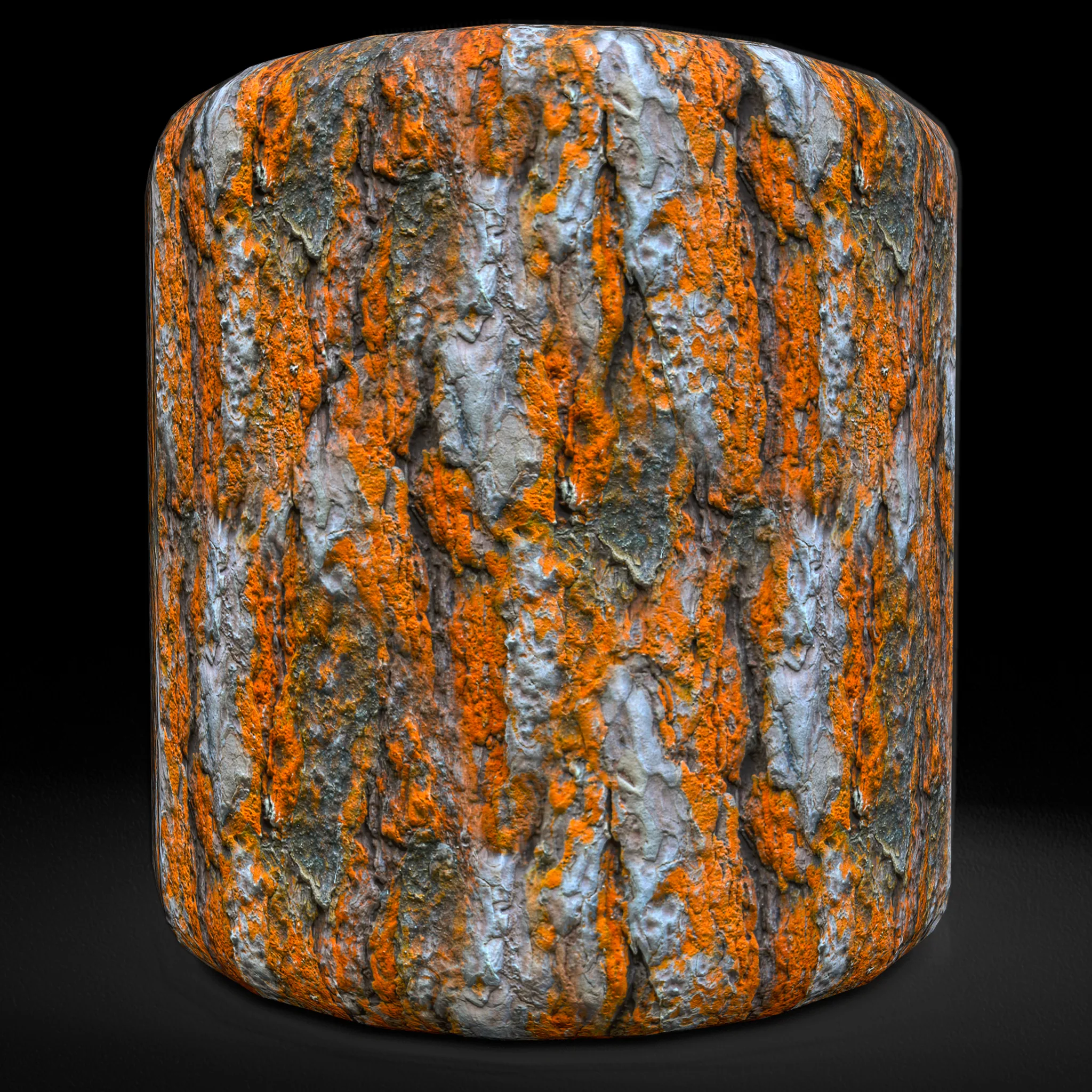 Wood Bark Texture 4K