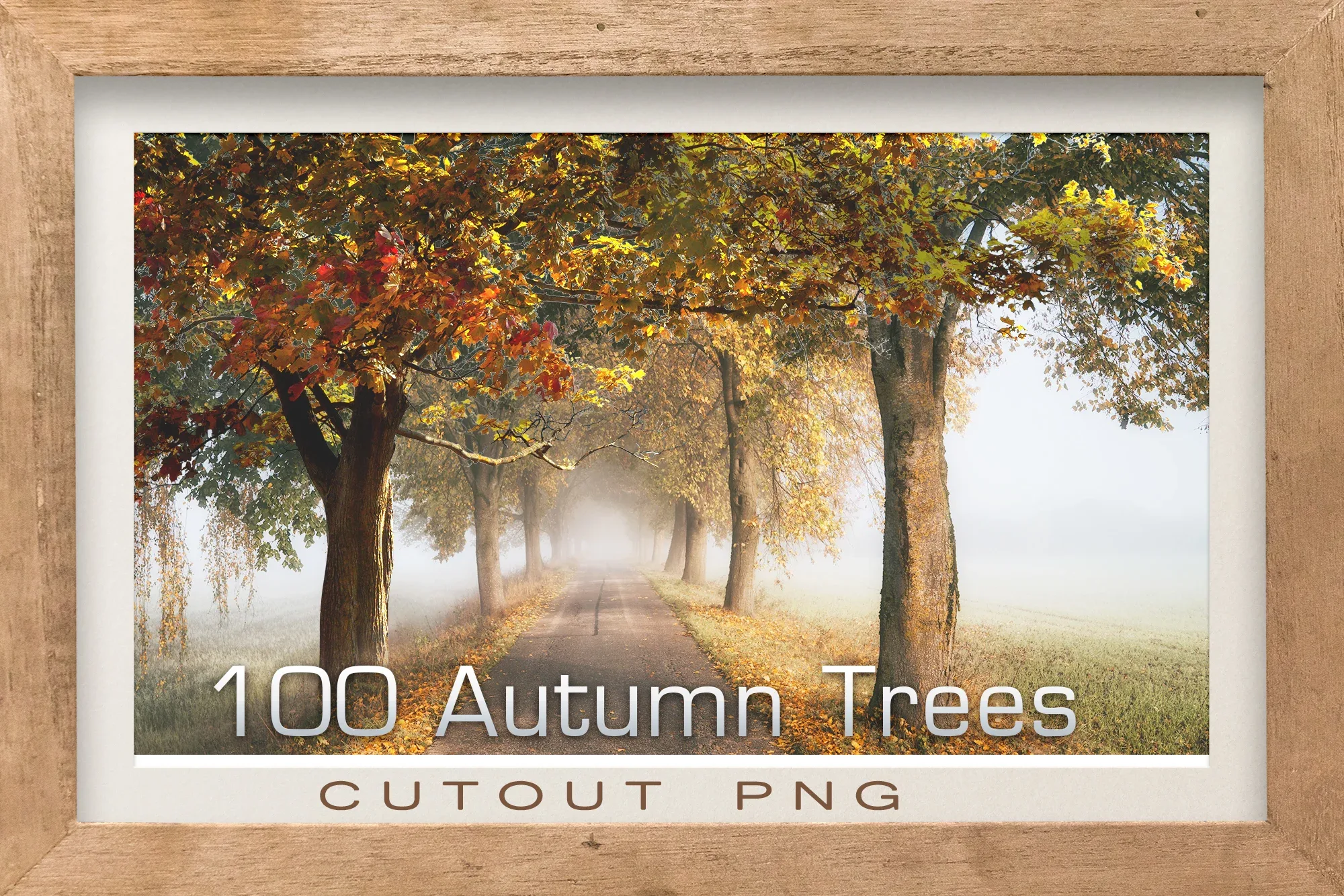 5000+ Photo Overlays MEGA Bundle, Autumn Spring Forest Tree cutout, Water Splash Overlys, Blossom Branches, Green Corner tree, Dead Trees