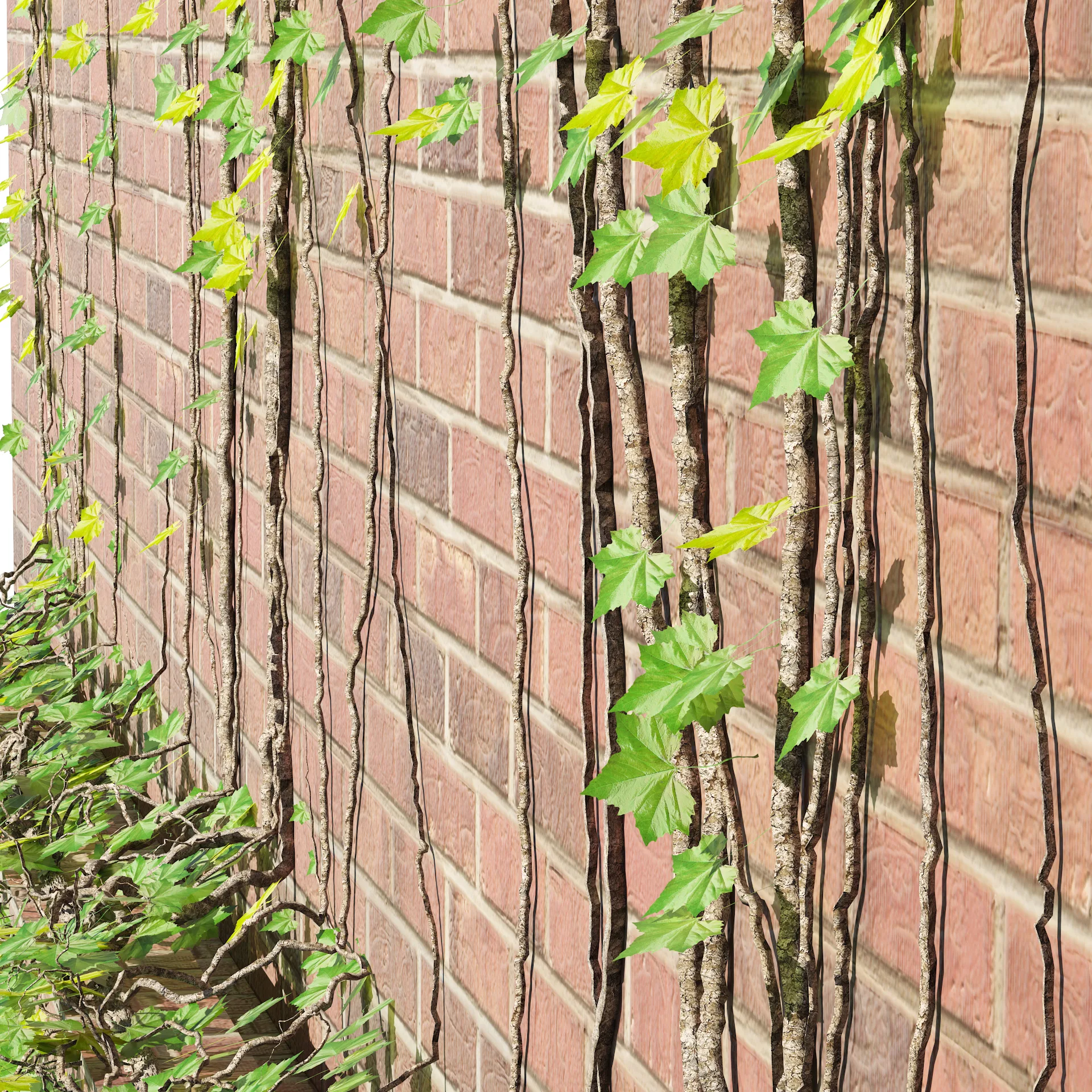 Garden green wall with waterfall