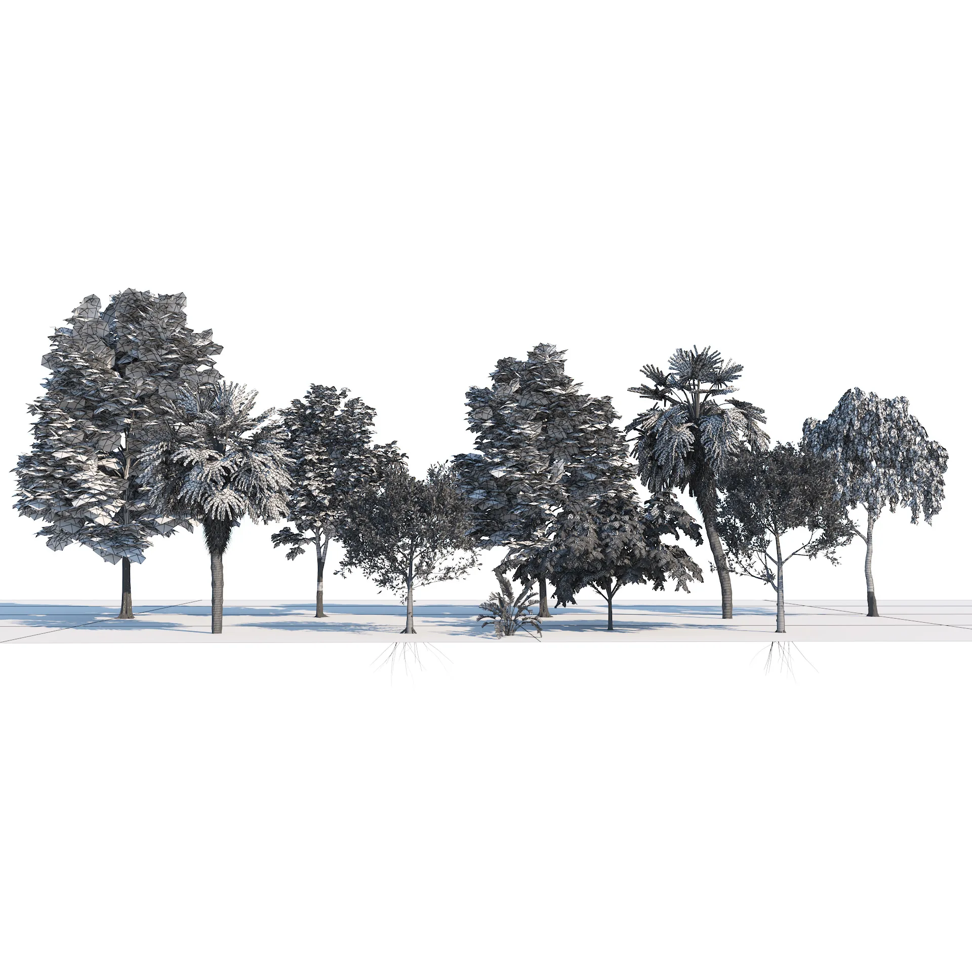 Park trees collection