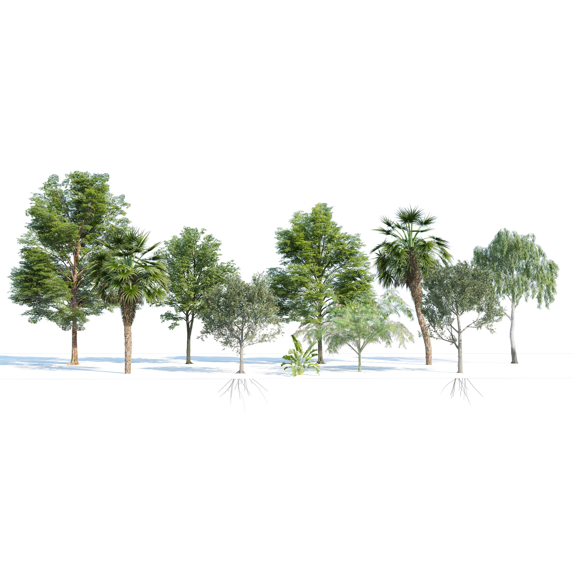 Park trees collection