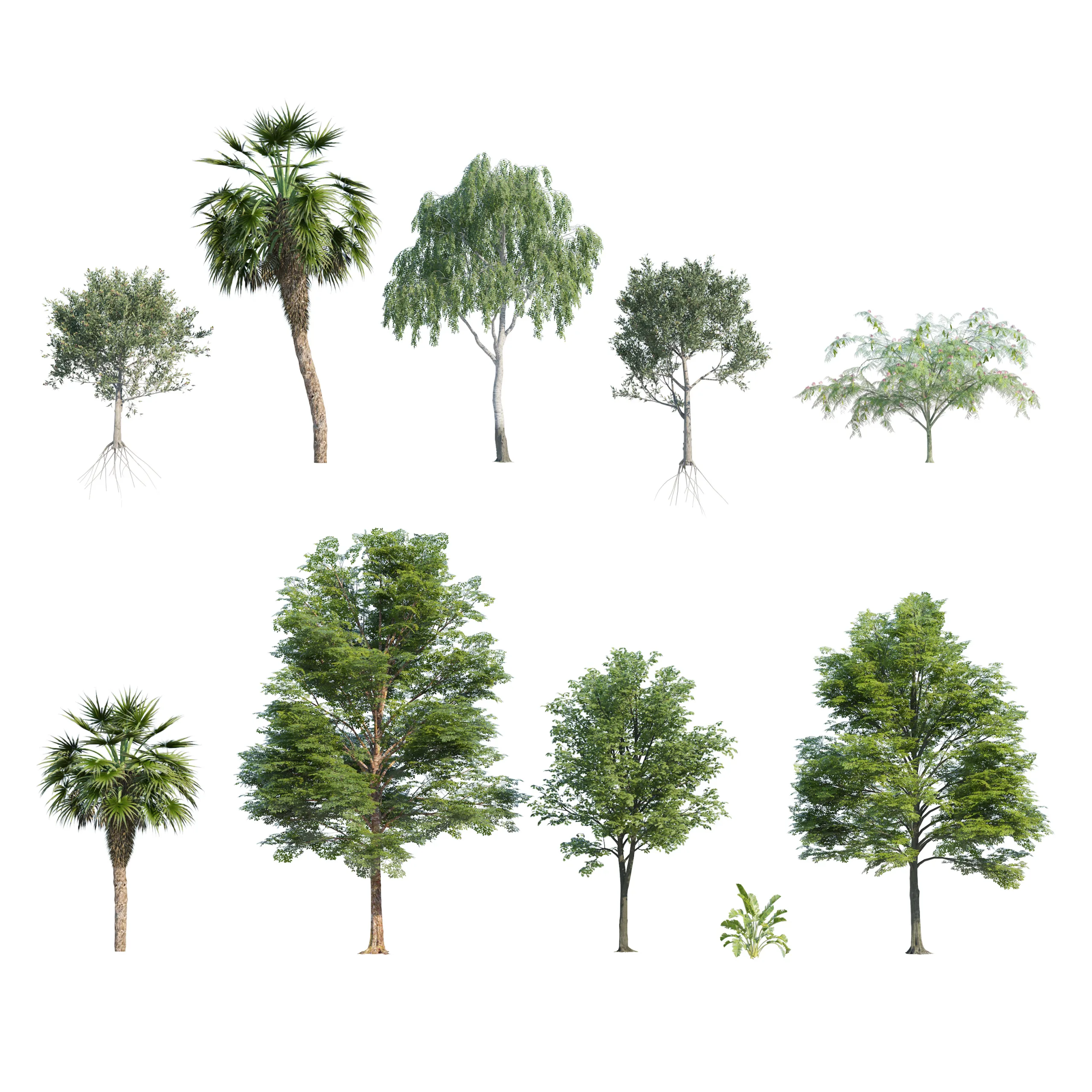 Park trees collection