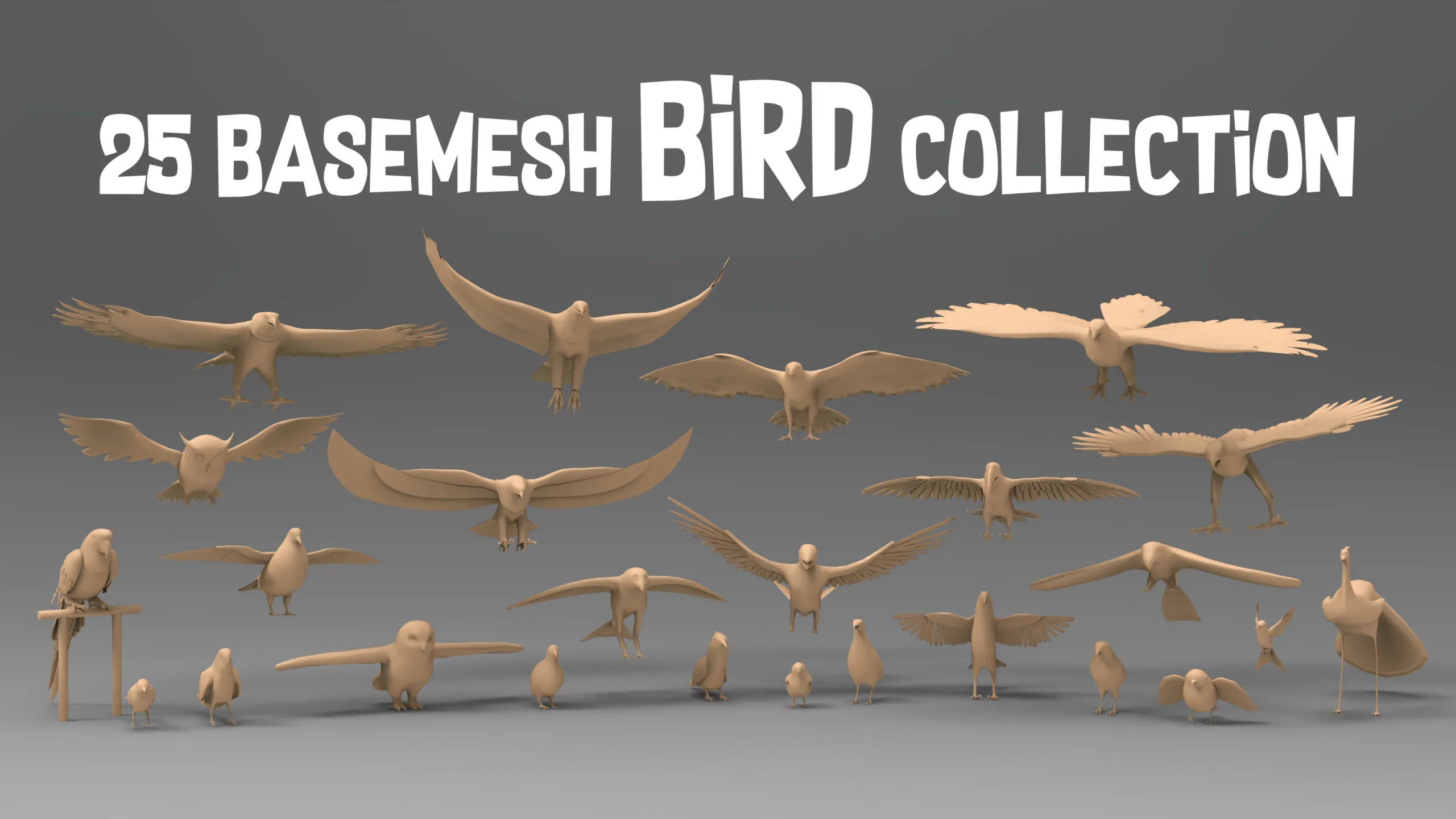 25 Basemesh bird collection