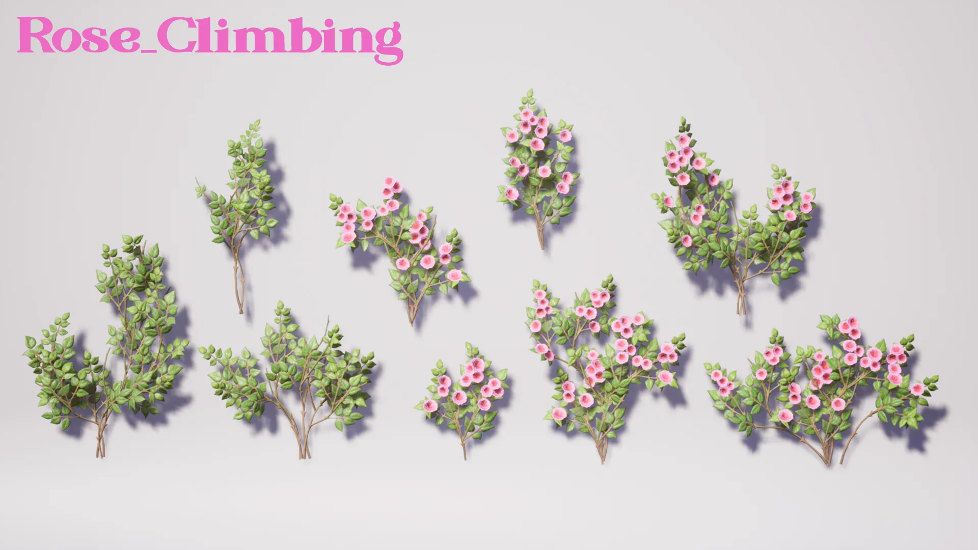 Stylized Flowers Pack