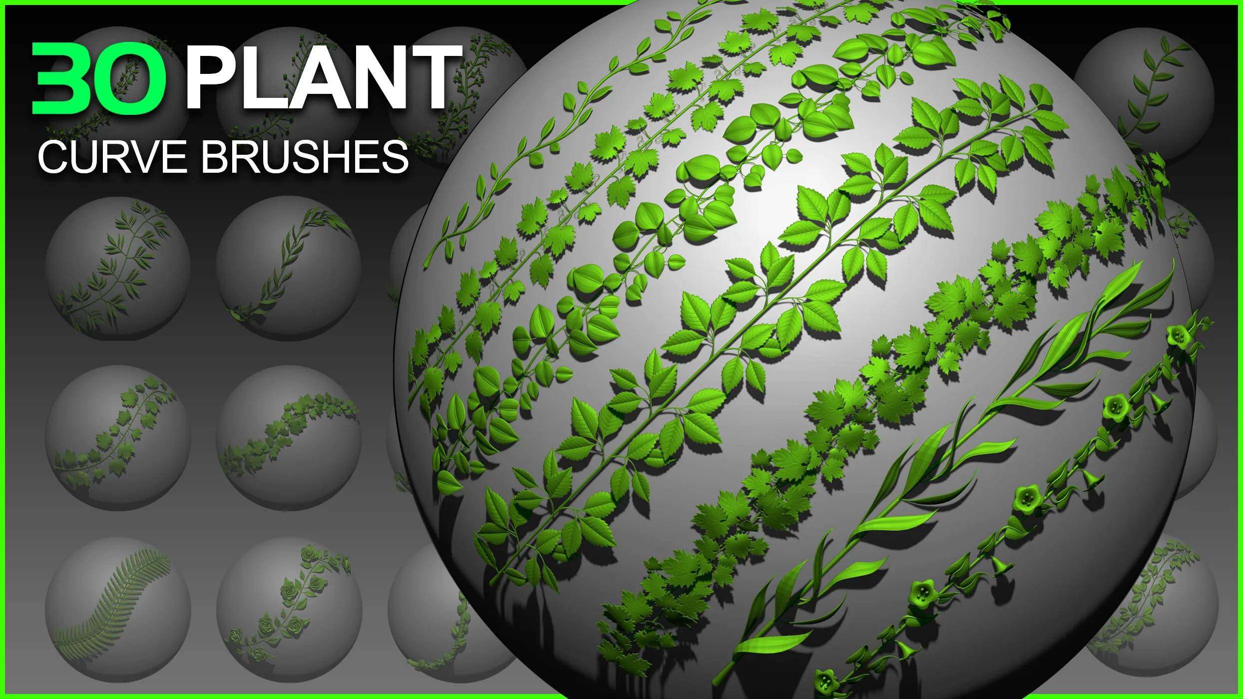 30 Plant Curve Brushes