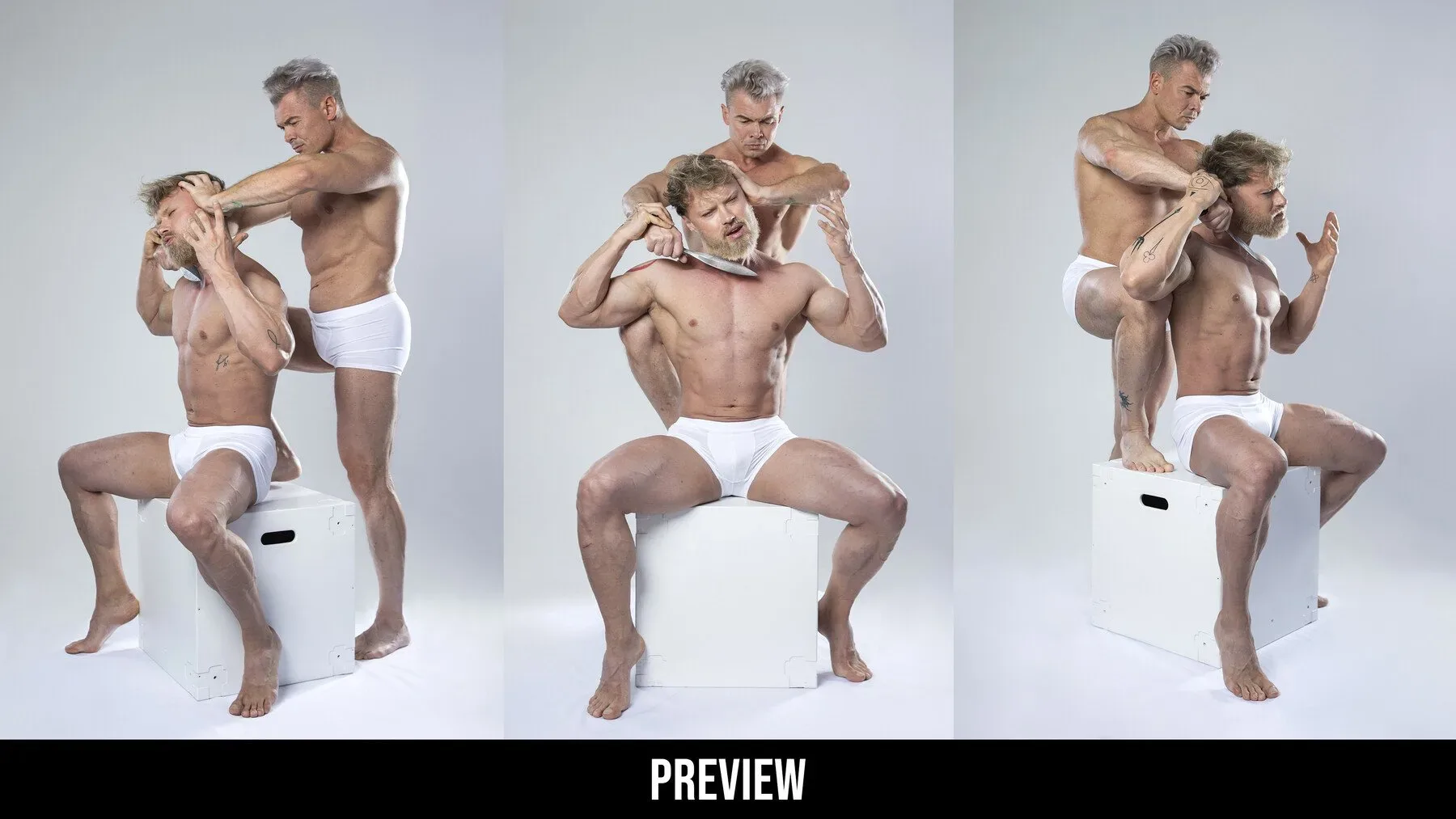 530+ Male Couple Reference Pictures