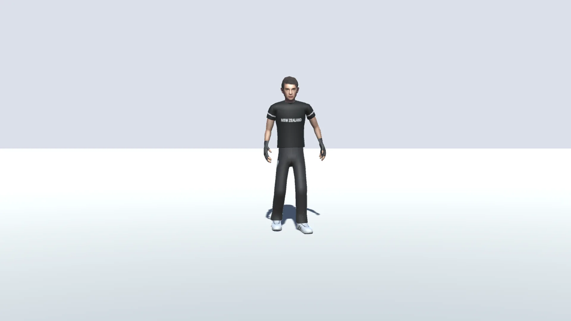 Cricket Players