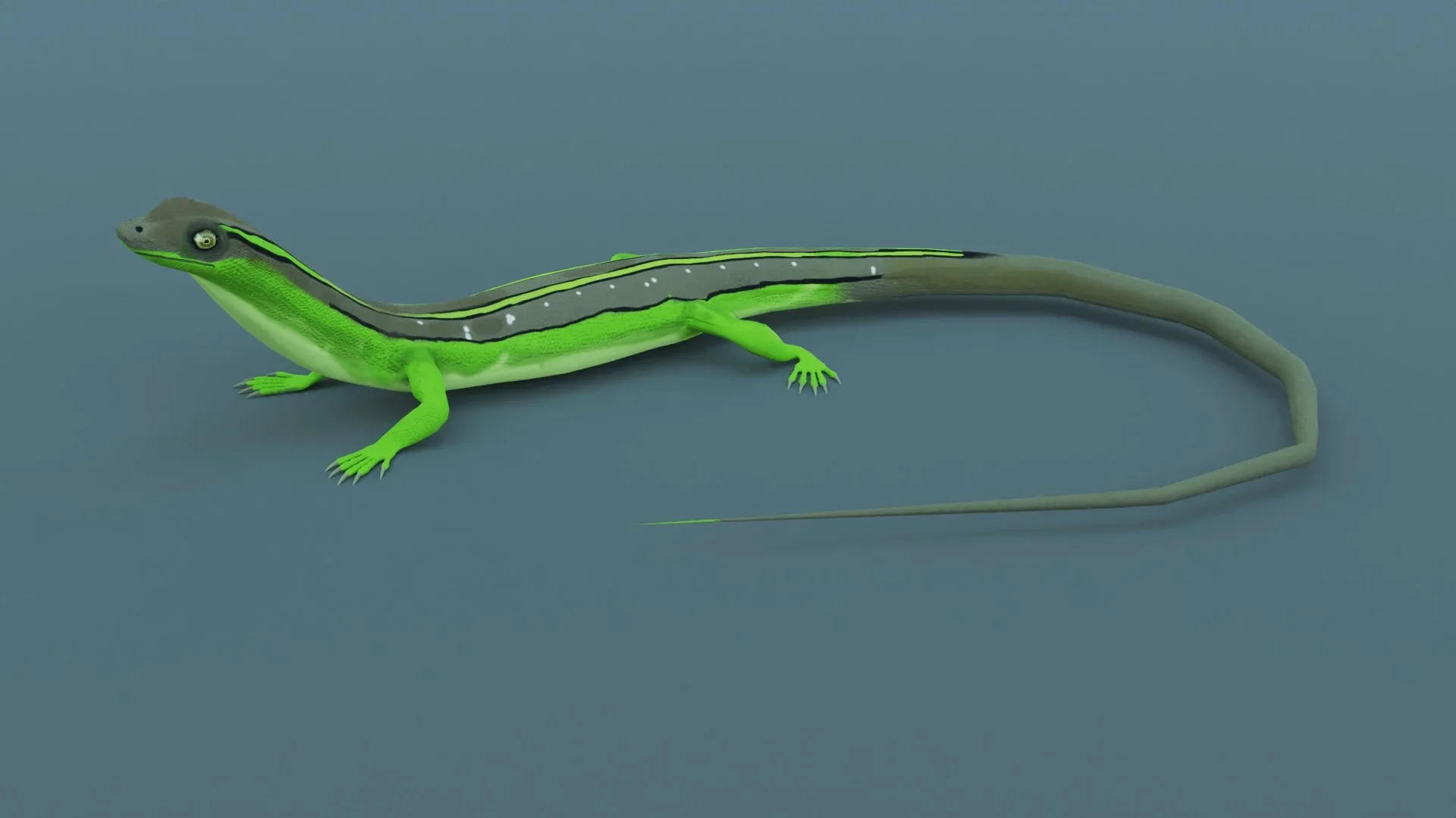 Lizard - Low Poly - Game Ready - PBR - Rigged - PBR