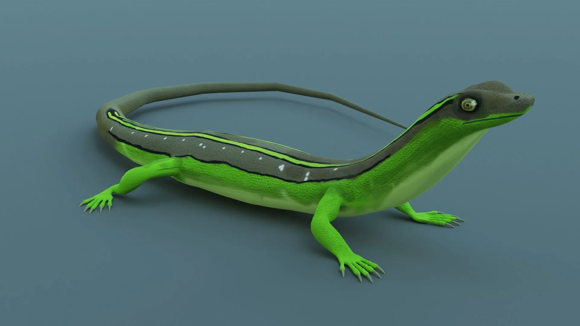 Lizard - Low Poly - Game Ready - PBR - Rigged - PBR