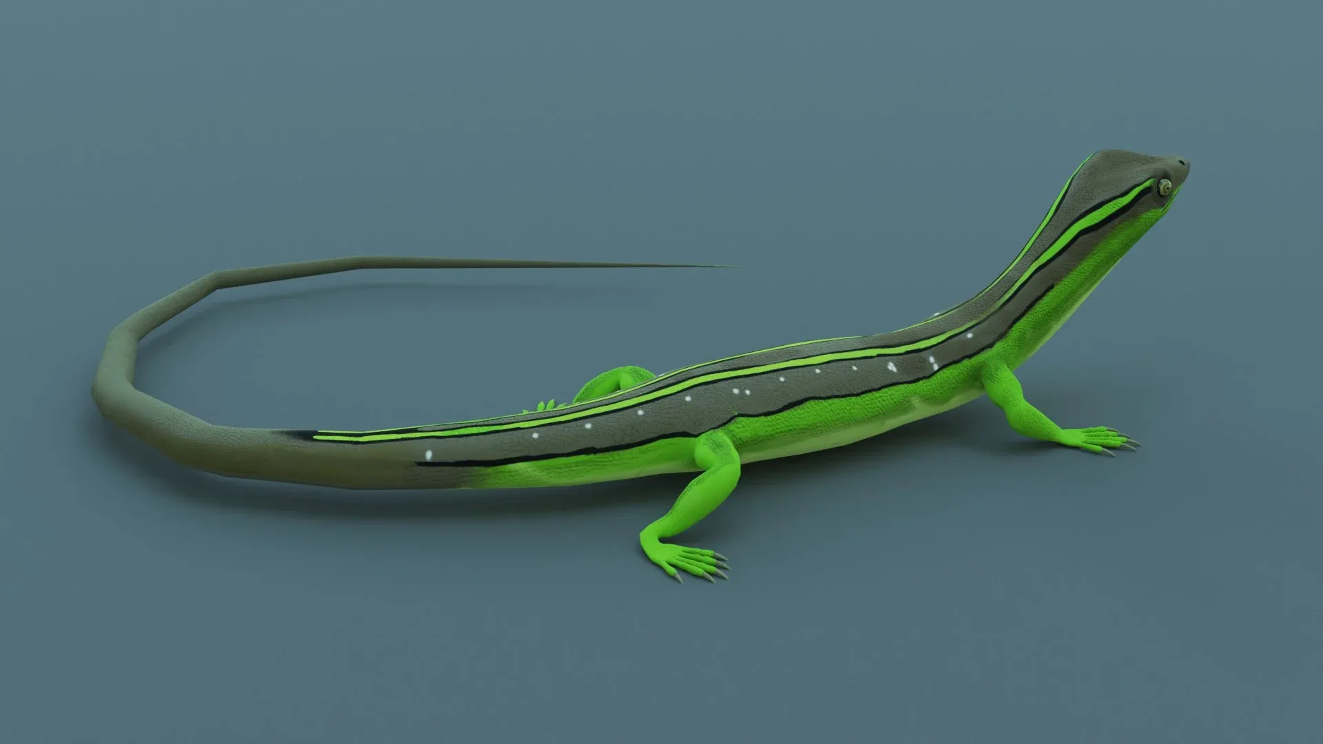 Lizard - Low Poly - Game Ready - PBR - Rigged - PBR