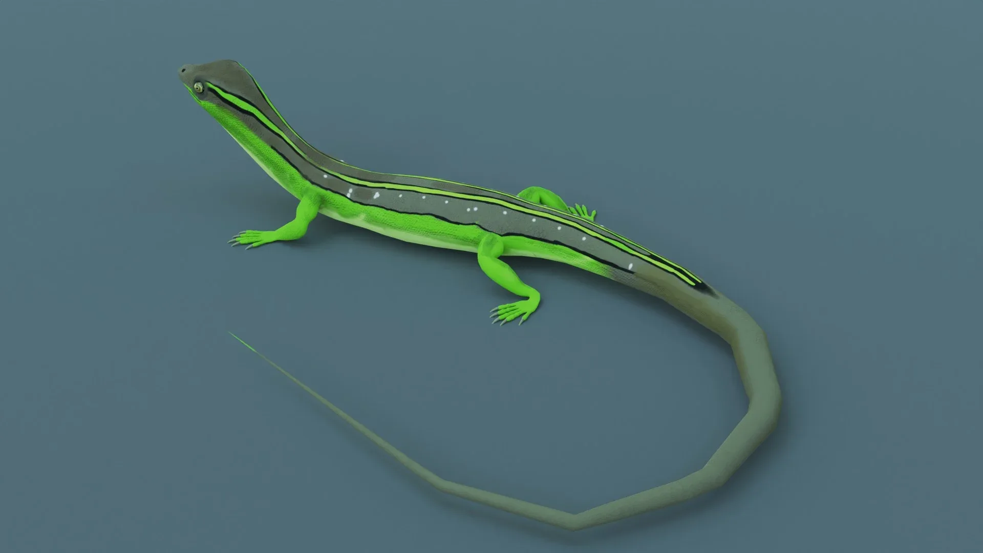 Lizard - Low Poly - Game Ready - PBR - Rigged - PBR