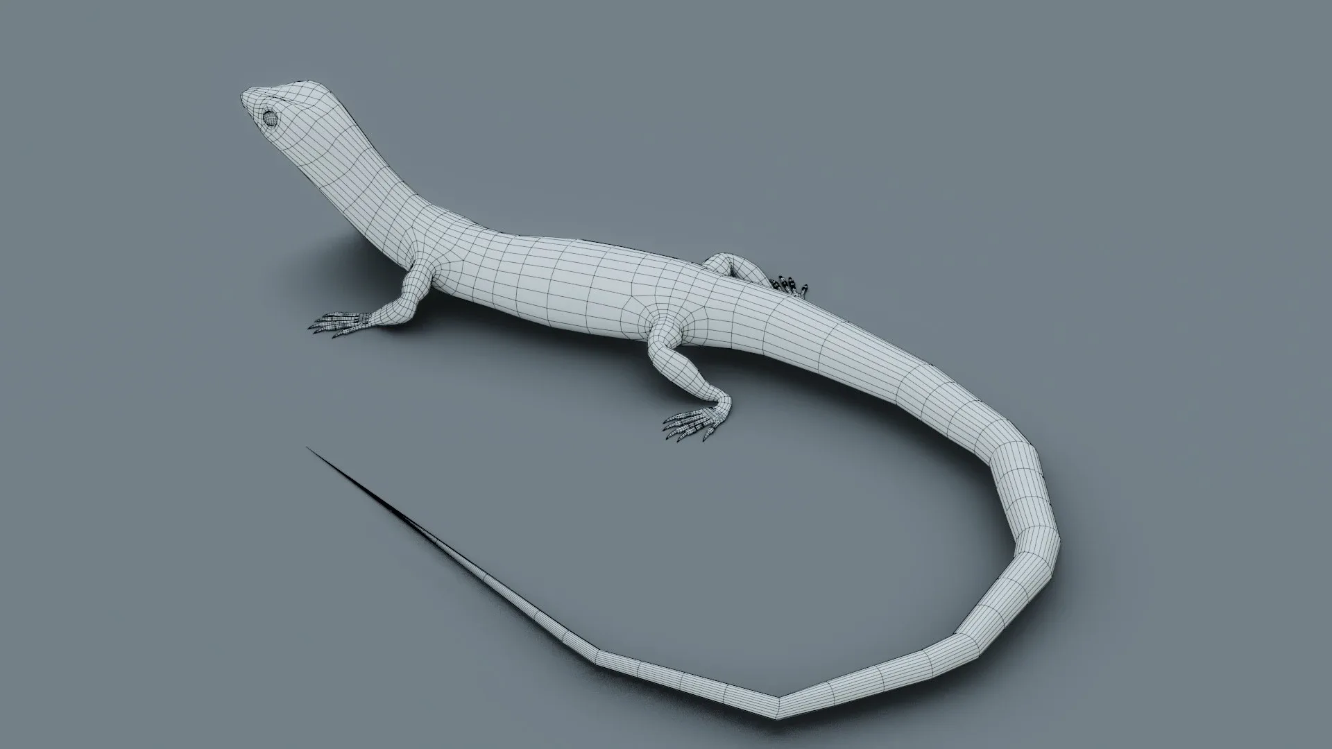 Lizard - Low Poly - Game Ready - PBR - Rigged - PBR