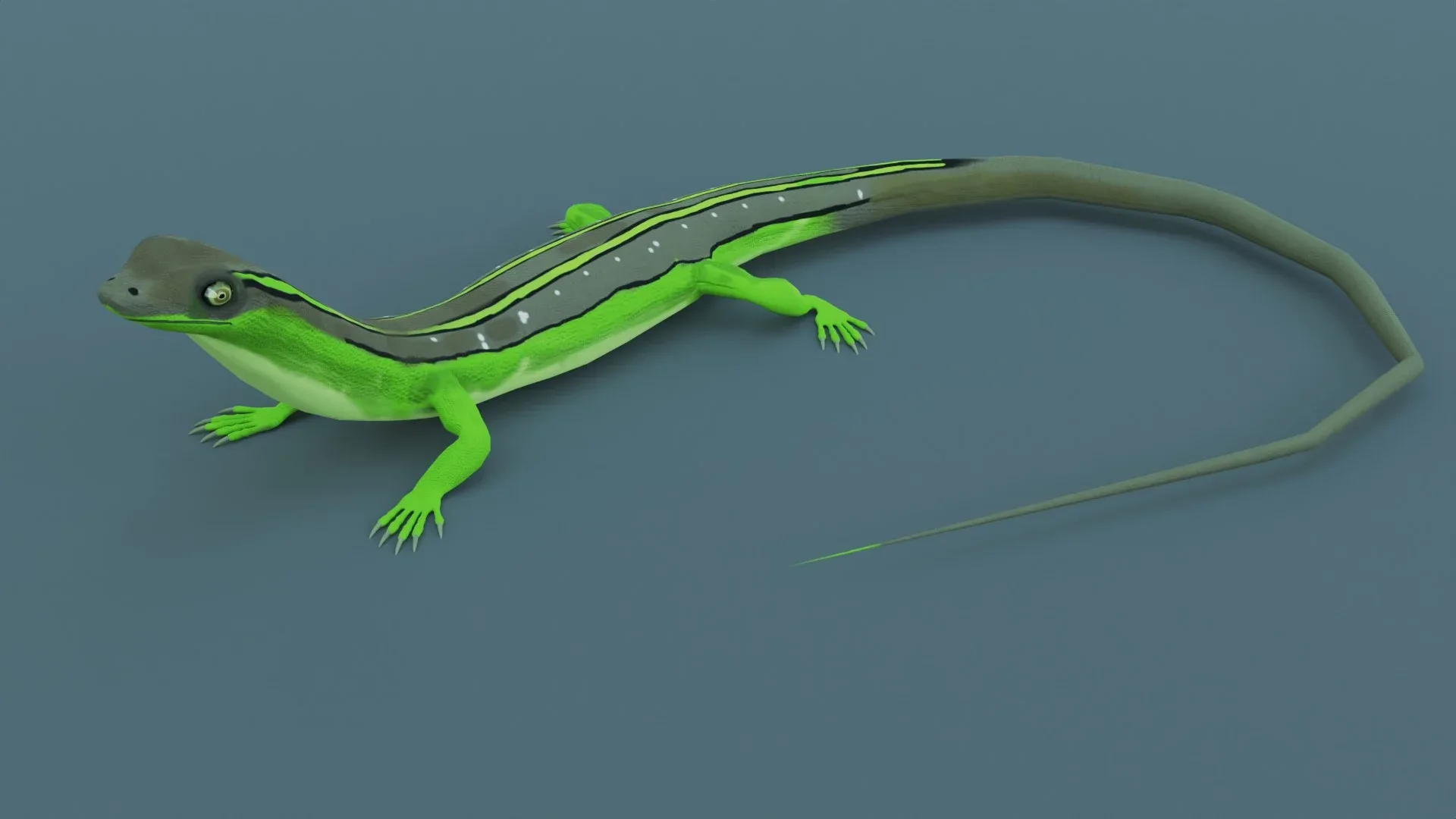 Lizard - Low Poly - Game Ready - PBR - Rigged - PBR