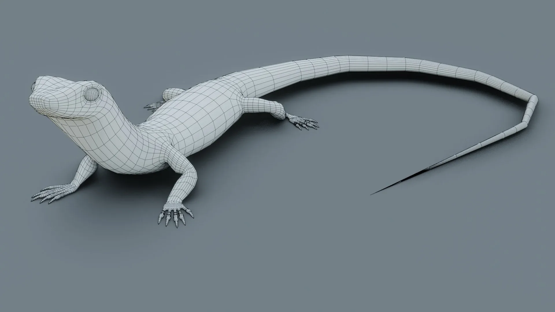 Lizard - Low Poly - Game Ready - PBR - Rigged - PBR