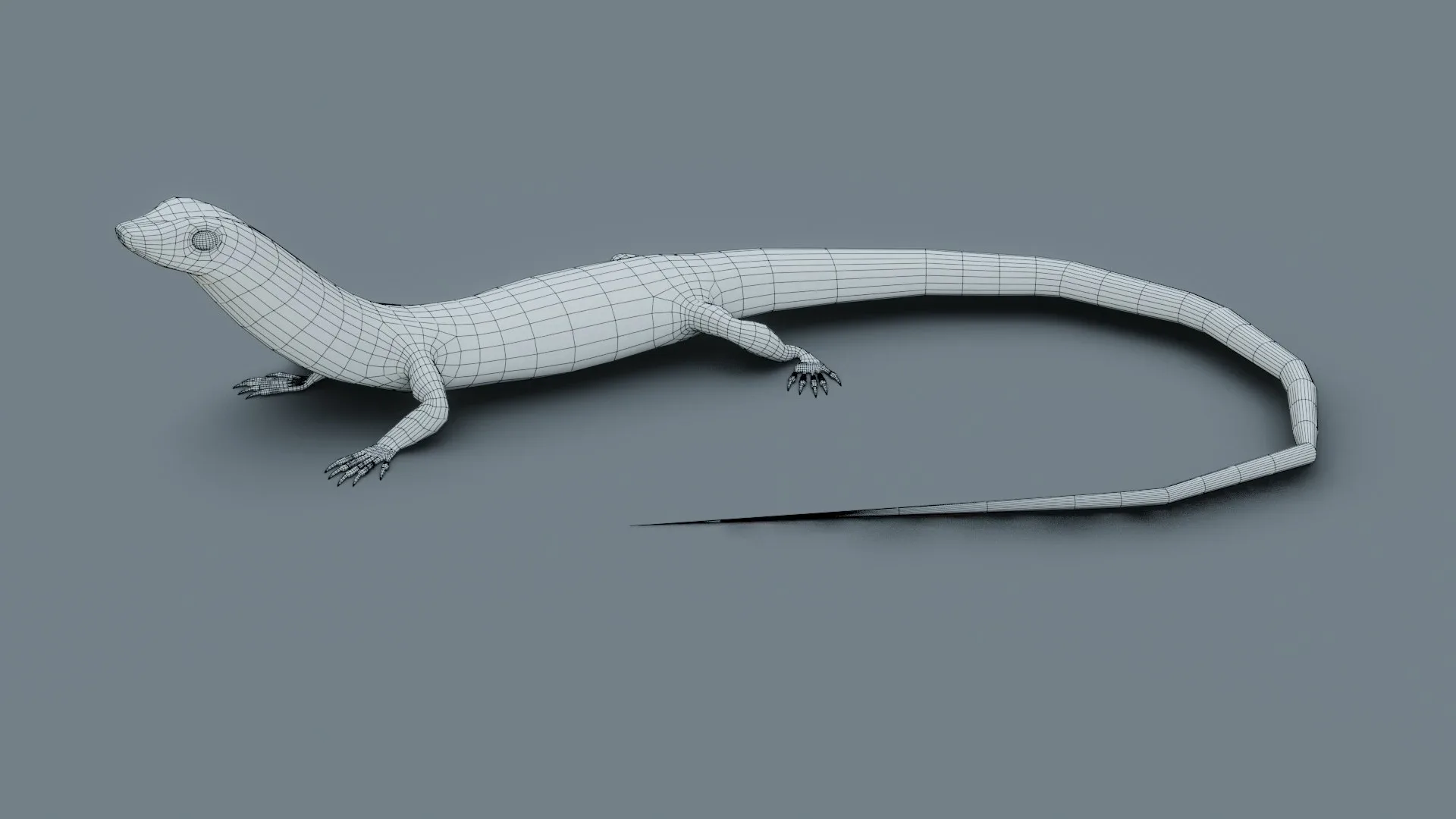 Lizard - Low Poly - Game Ready - PBR - Rigged - PBR