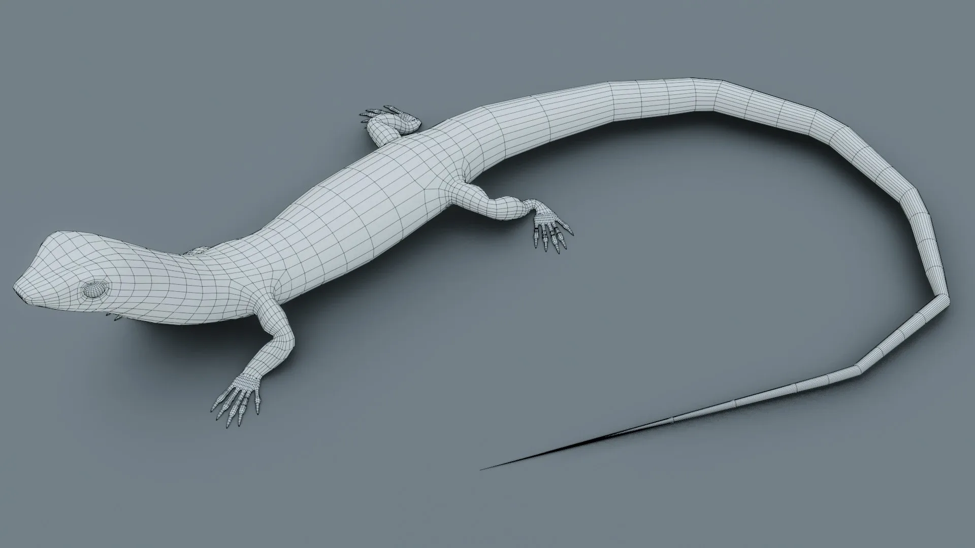 Lizard - Low Poly - Game Ready - PBR - Rigged - PBR