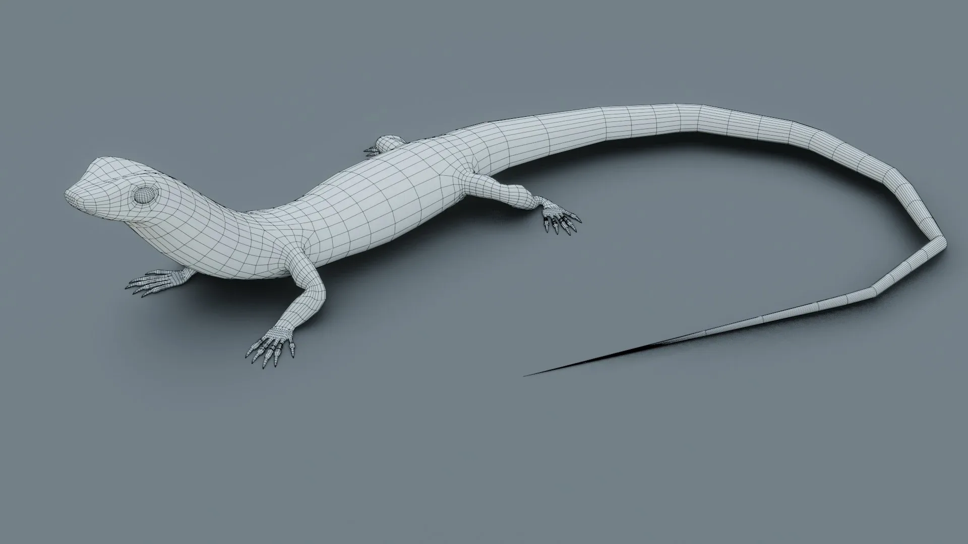 Lizard - Low Poly - Game Ready - PBR - Rigged - PBR